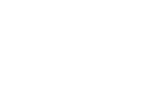 Boldstart Ventures