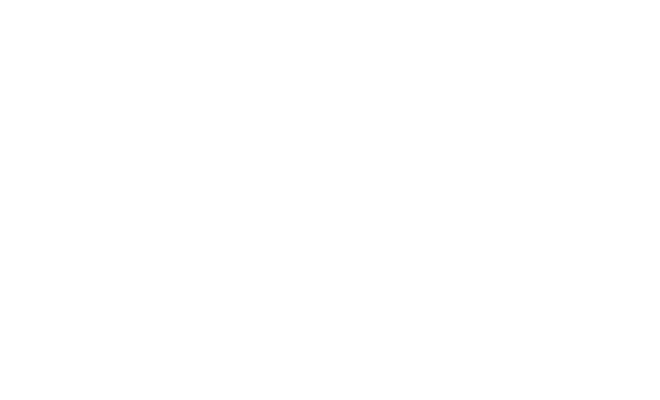 Hyde Park Angels